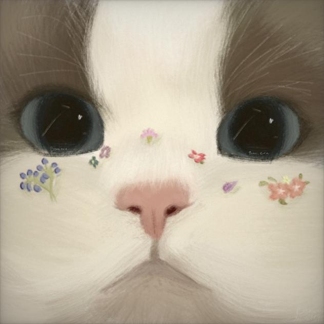 ˚₊‧꒰ა 🎀 ໒꒱ ‧₊˚