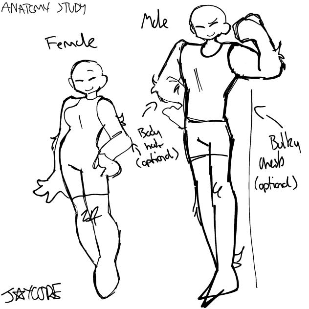 Anatomy study haha