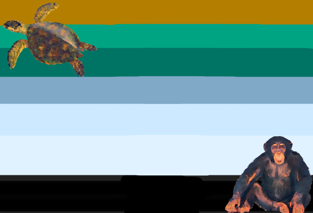 Flag of Joemamerica
