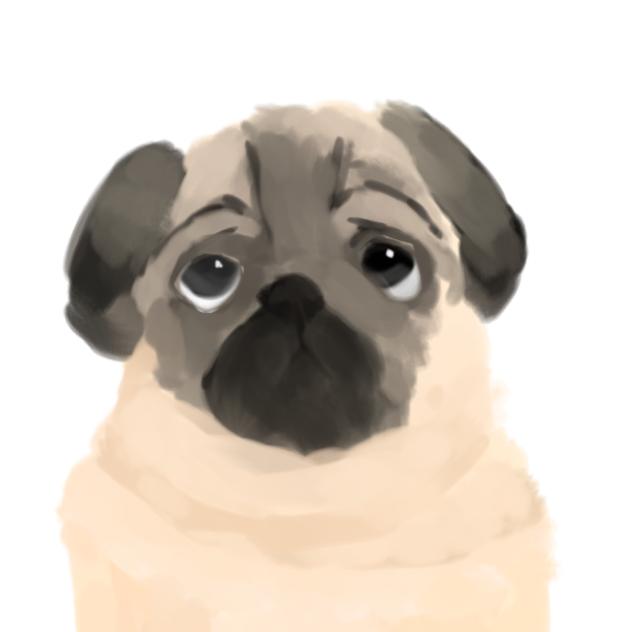 わん
