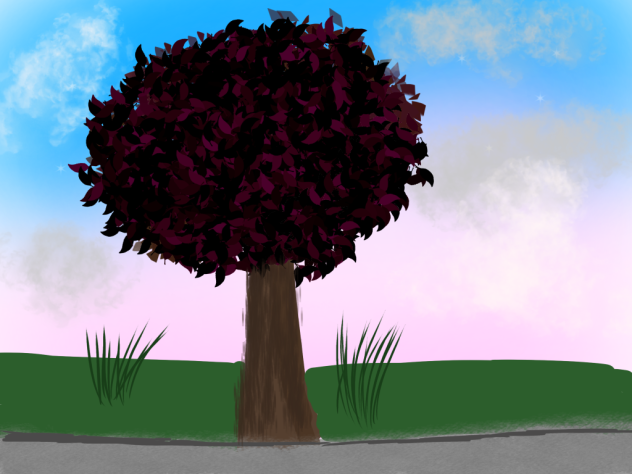 Sunset outside my window