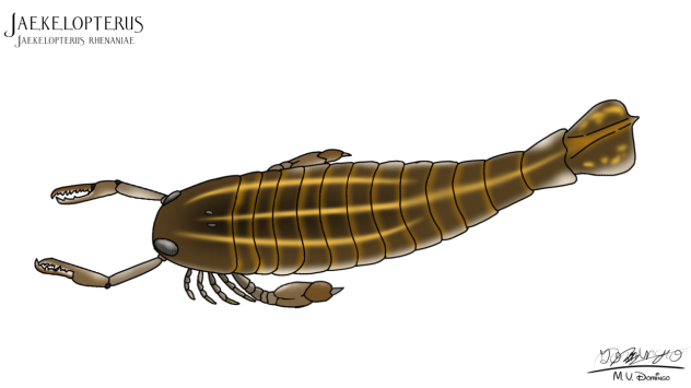 Jaekelopterus