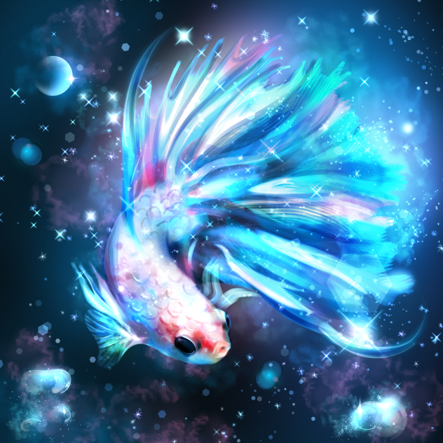 Space Betta 🌙