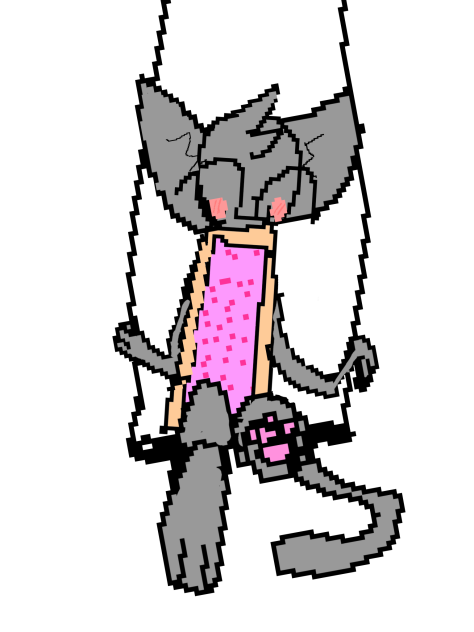 Nyan Cat!!!