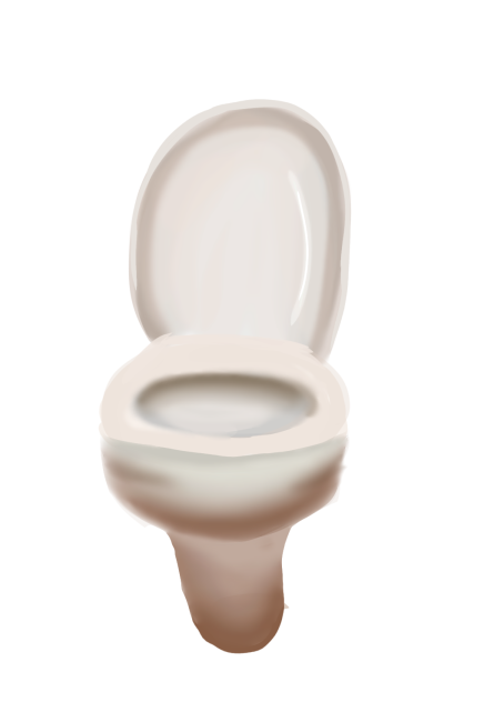 a handsome toilet