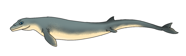 Basilosaurus cetoides