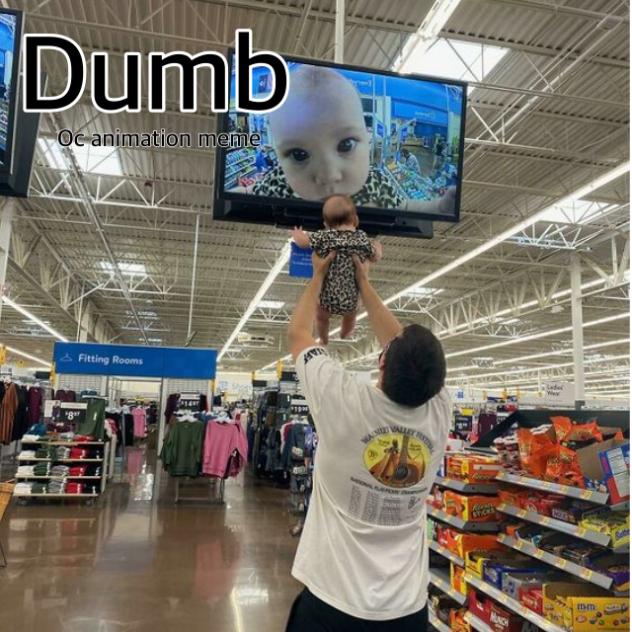 Everyone is dumb~