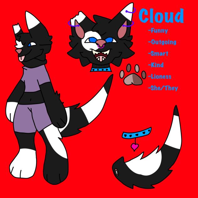 Cloud Ref sheet