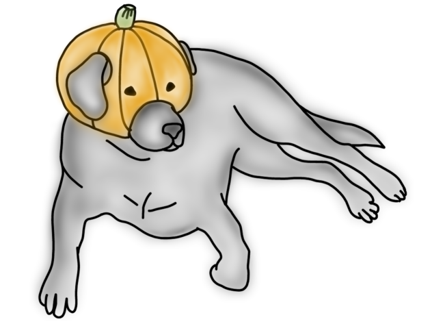Ghost dog