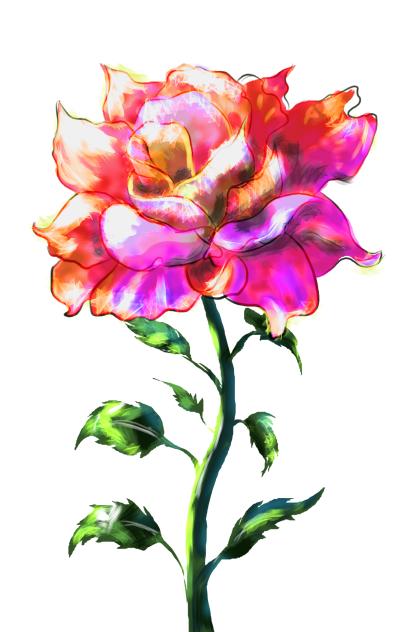Sunshone rose