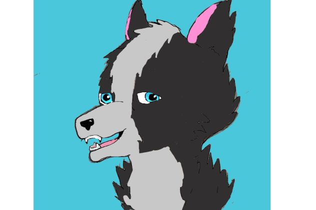 going over my drawing of a dog