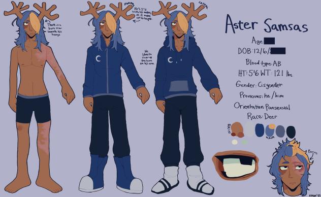 ASTER REFERENCE SHEET