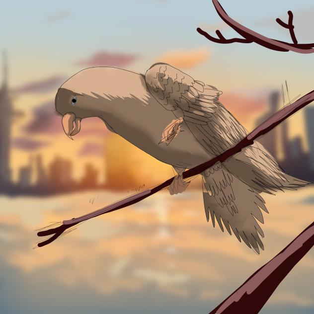 🕊️🌇