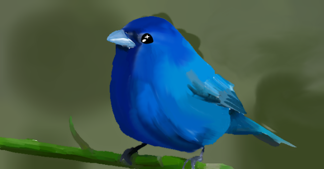 Bird anatomy 2