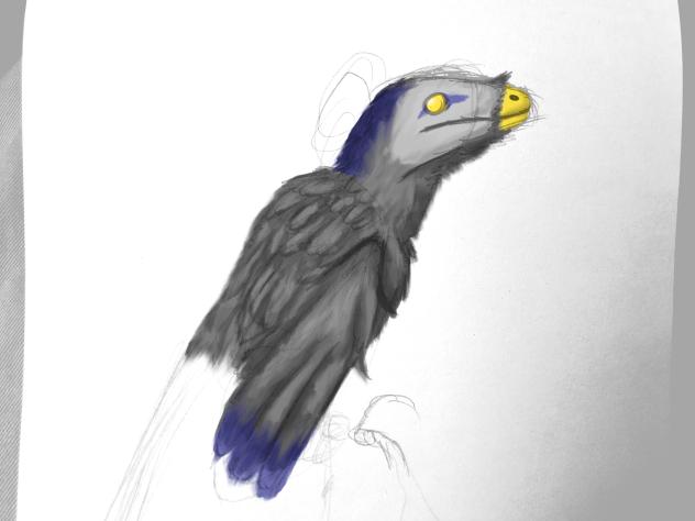 bird - ibisPaint