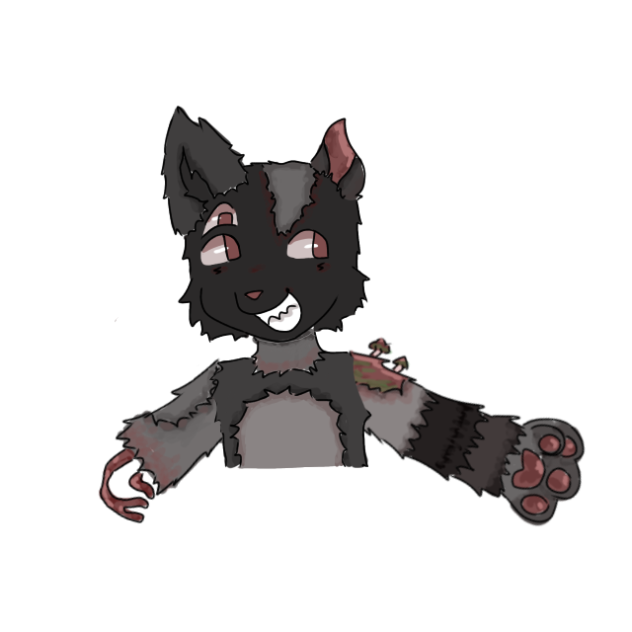 Kitty dance!!