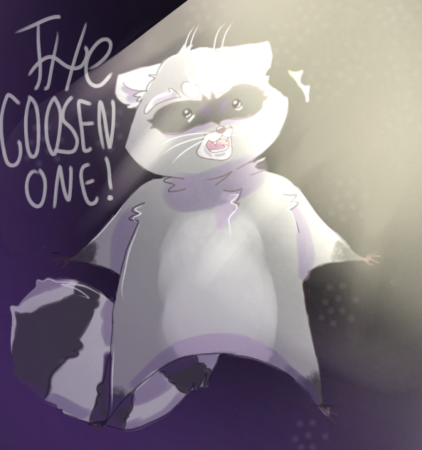 the chosen raccoon