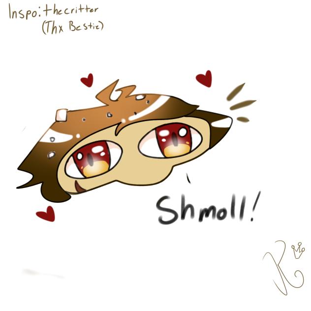 Shmoll