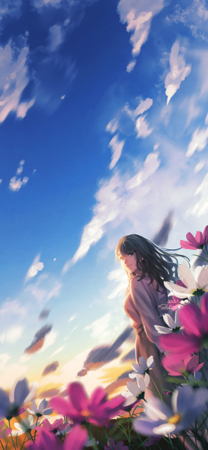 秋桜