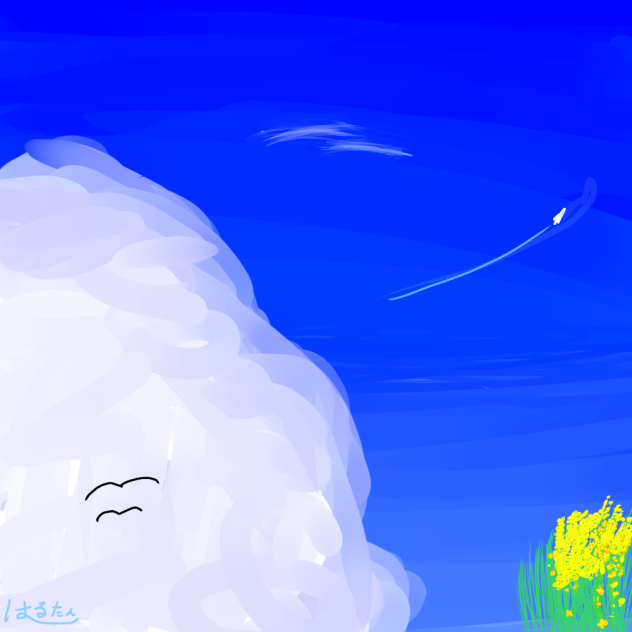 夏の空