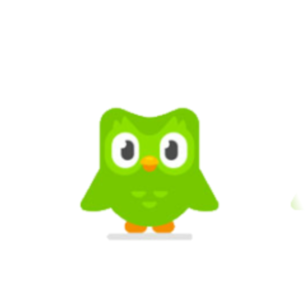 Duolingo baddie twerk💅