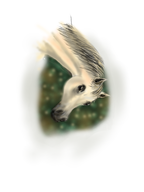 horse - ibisPaint