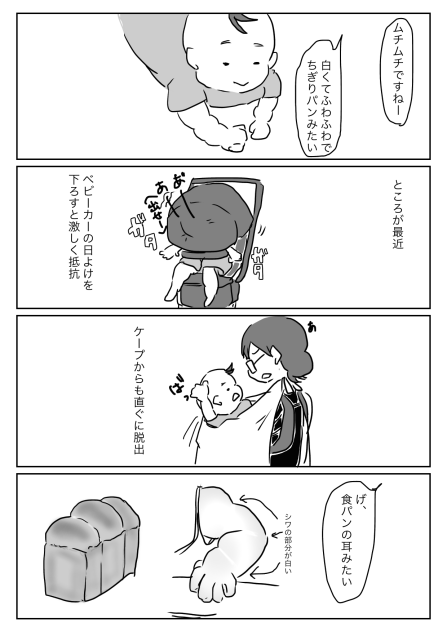こんがり