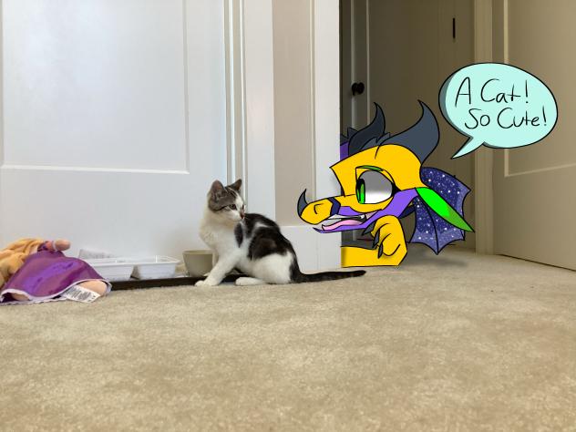 Wildberry Crossed Over To Our Dimension!