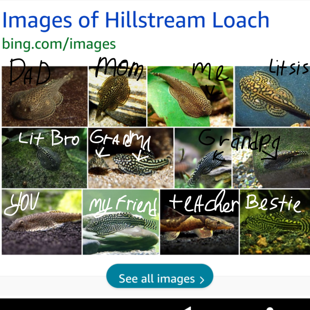 Hillstream's family