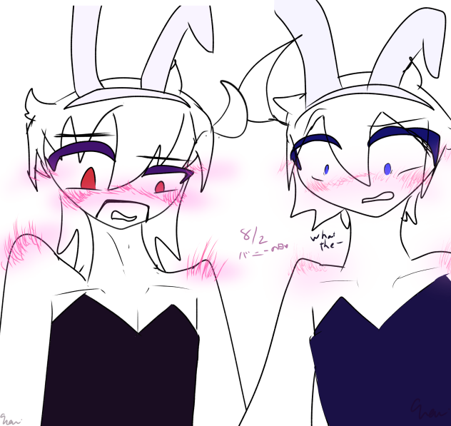 🐰