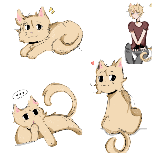 Cat boy as a cat! ⭐️