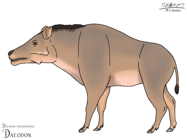 Daeodon shoshonensis