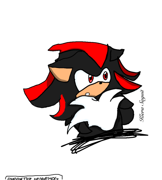 Shadow The Hedgehog