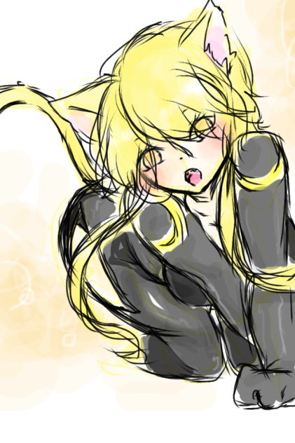 ※にゃーん※