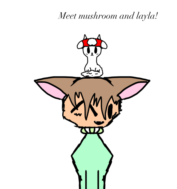 Meet mushroom and layla!
