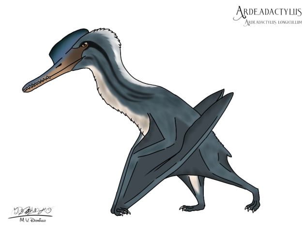 Ardeadactylus longicullum