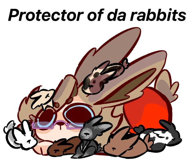 Protector of da rabbits