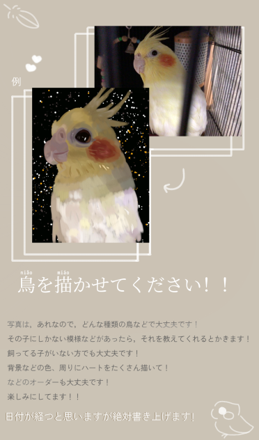 鳥を描かせてください！！