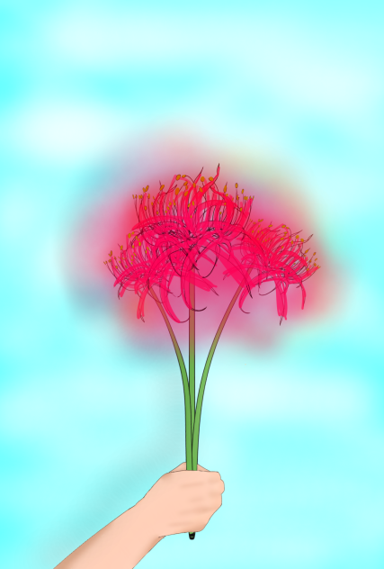 Red Spider Lilies