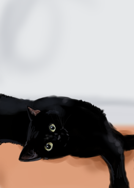 🖤black cat realism🖤