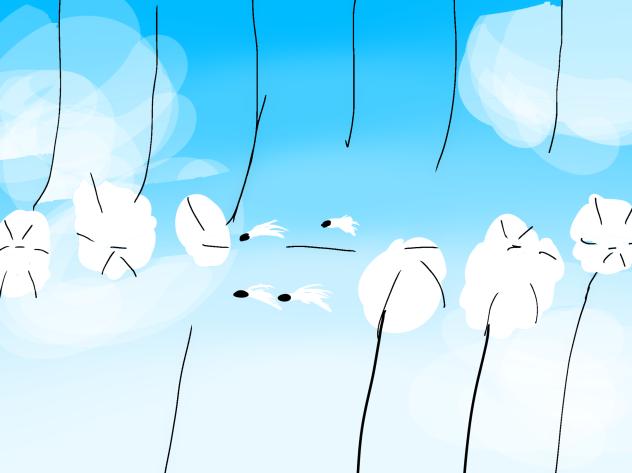 Landscape - ibisPaint