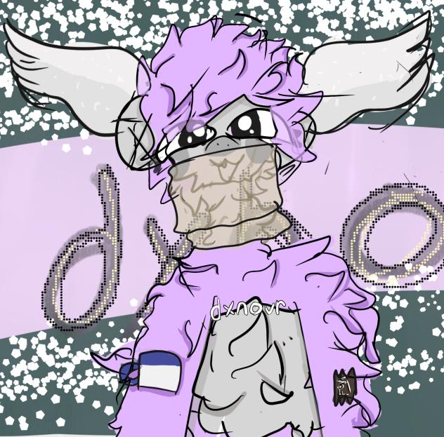 dxnovr