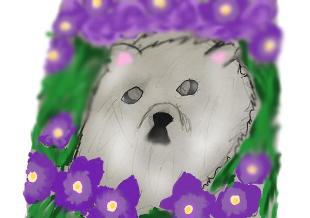 Woof.
