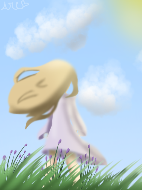 The land of lavander