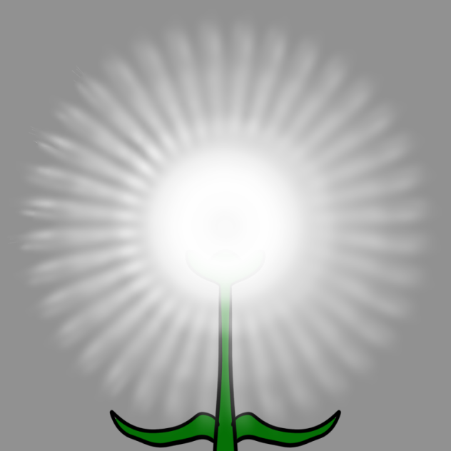 Dandelion