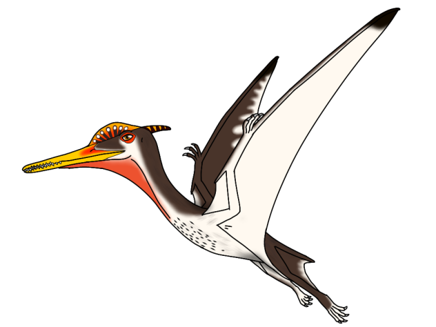 Pterodactylus antiquus render