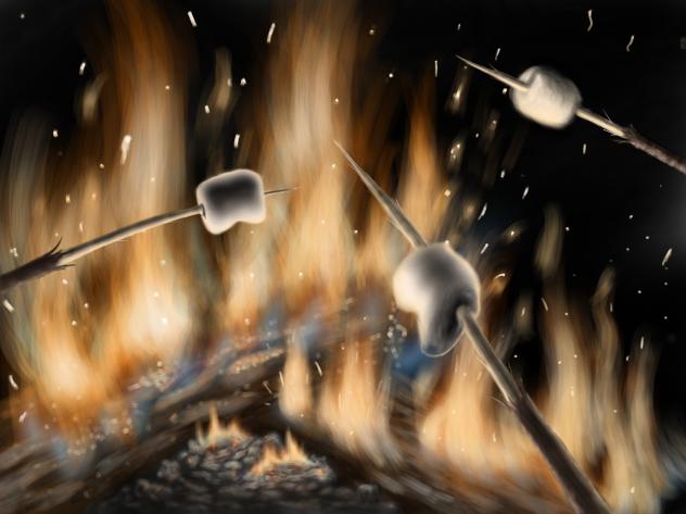 Toasting Marshmallows