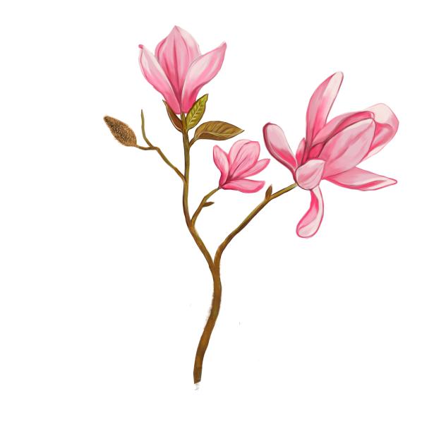 Pink Magnolia (without base)