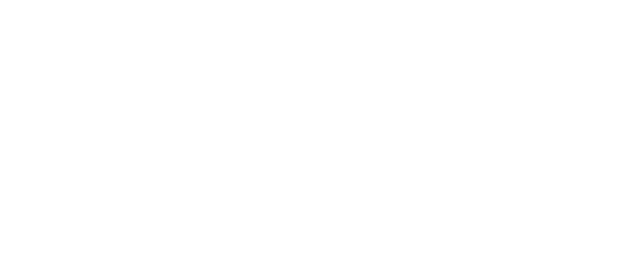 スカラップレース　scalloped lace