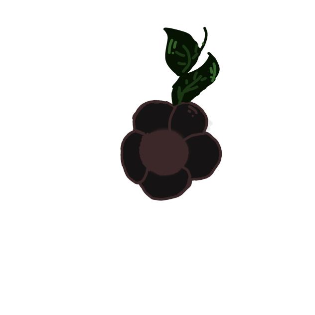 beautiful flower - ibisPaint